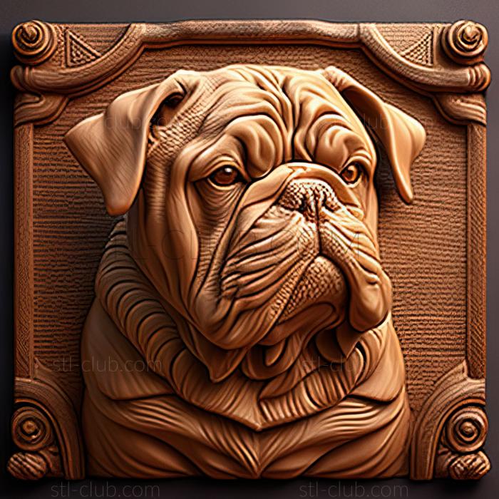 st Continental Bulldog dog